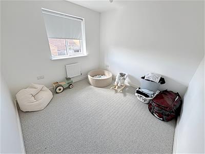 Picture 14